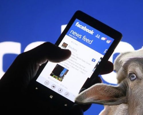 Le fake news, una minaccia per la credibilità di Facebook