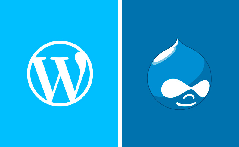 I CMS più performanti per la SEO: da WordPress a Drupal, ecco i migliori